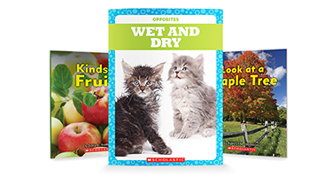 Independent Reading - Level B - Shop Now
