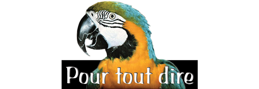 Pour tout dire - Download PDF