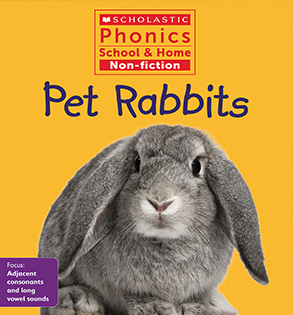Pet Rabbits - Peek Inside