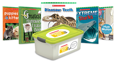 Everyday Book Box 3 - Learn more