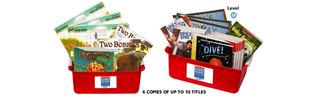 Guided Reading Program - Non-Fiction Focus 2nd Edition Grades K-6 ...