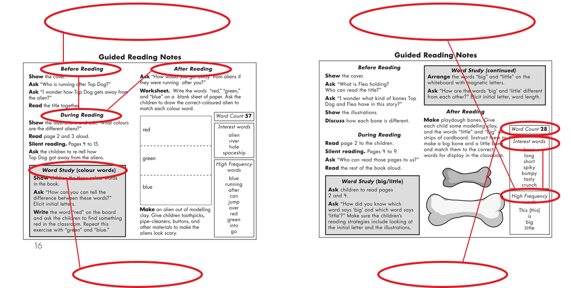 Image of reading notes describing suggestions for activities for the teacher.
