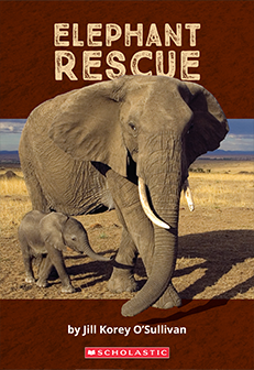 Elephant Rescue Cover