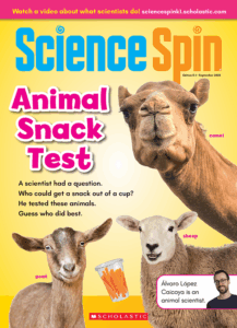 Science Spin Grades K-1