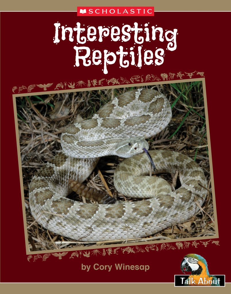Interesting Reptiles